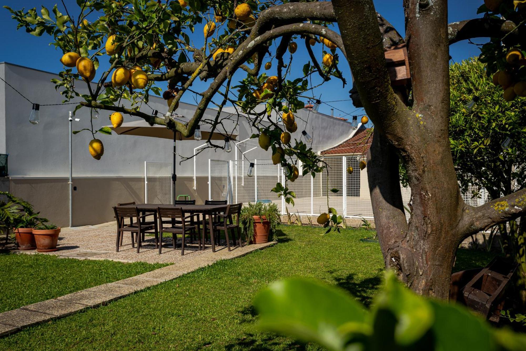 714 Mugnano House Aveleda Villa Vila do Conde Kültér fotó
